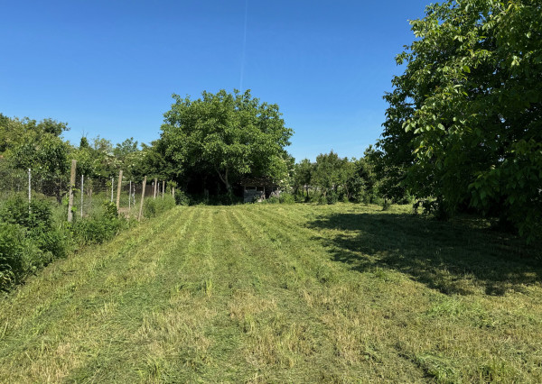 NA PREDAJ -  pozemok 2241 m2 v obci Komoča !