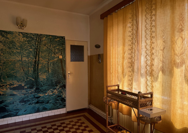 NA PREDAJ -  Rodinný dom  v obci Zemianska Olča!