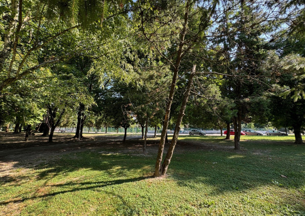 NA PREDAJ - 2 izbový  byt v Kolárove - REZERVOVANÉ !