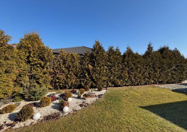 FINREAL s.r.o. Vám ponúka na PREDAJ rodinný dom v Kolárove!