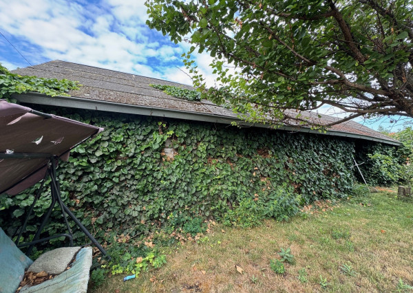 Iba u nás! Ponúkame NA PREDAJ rodinný dom v Kolárove!