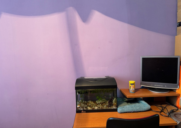 Exkluzívne ponúkame NA PREDAJ 3-izbový byt v Kolárove!