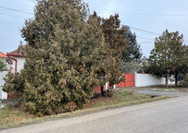 NA PREDAJ rodinný dom s garážou a záhradou v Kolárove !