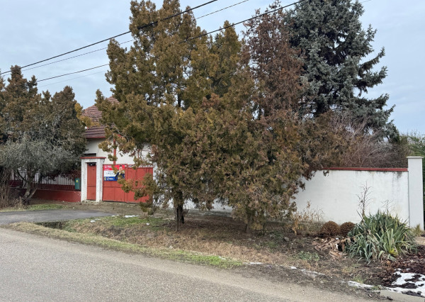 NA PREDAJ rodinný dom s garážou a záhradou v Kolárove !