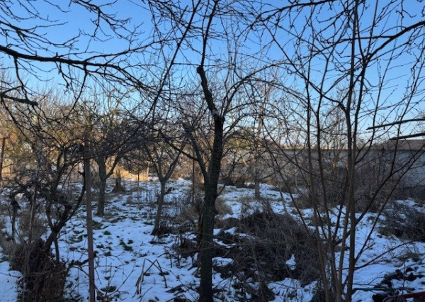 NA PREDAJ rodinný dom s garážou a záhradou v Kolárove !