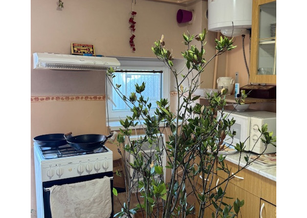 NA PREDAJ rodinný dom s garážou a záhradou v Hurbanove !