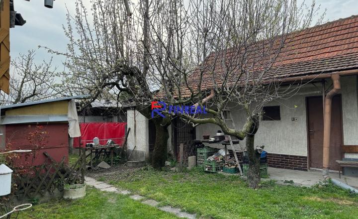 FINREAL s.r.o. ponúka rodinný dom v Kolárove ! - fotografia 7