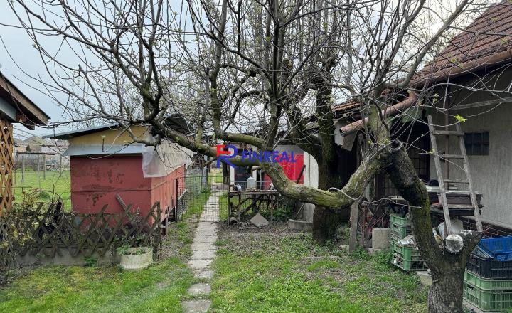 FINREAL s.r.o. ponúka rodinný dom v Kolárove ! - fotografia 8