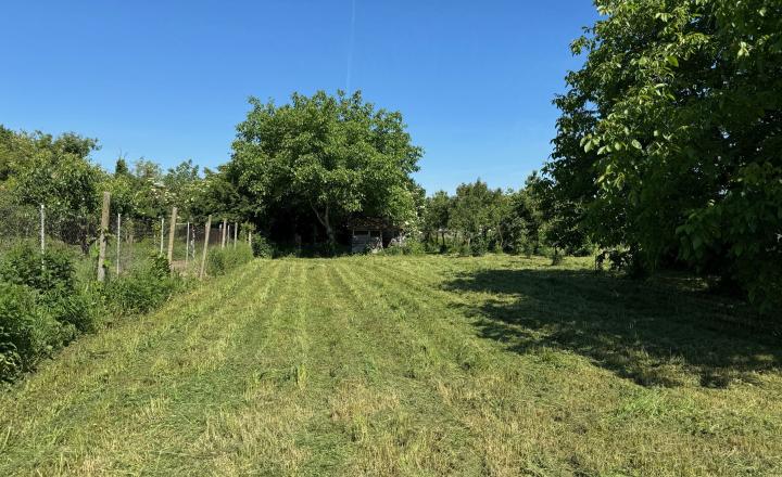 NA PREDAJ -  pozemok 2241 m2 v obci Komoča ! - fotografia 1