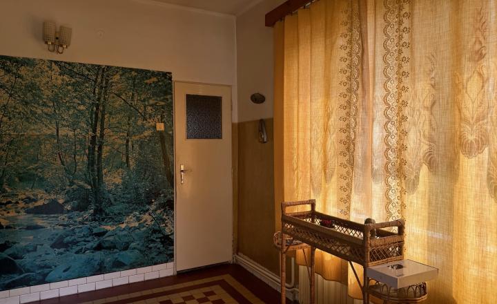 NA PREDAJ -  Rodinný dom  v obci Zemianska Olča! - fotografia 12