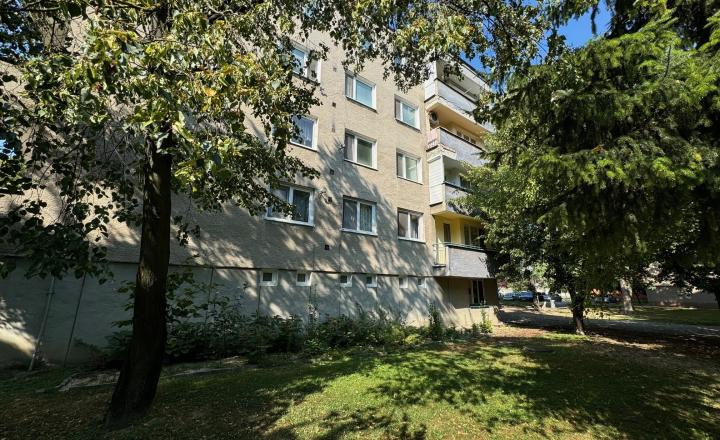 NA PREDAJ - 2 izbový  byt v Kolárove - REZERVOVANÉ ! - fotografia 19