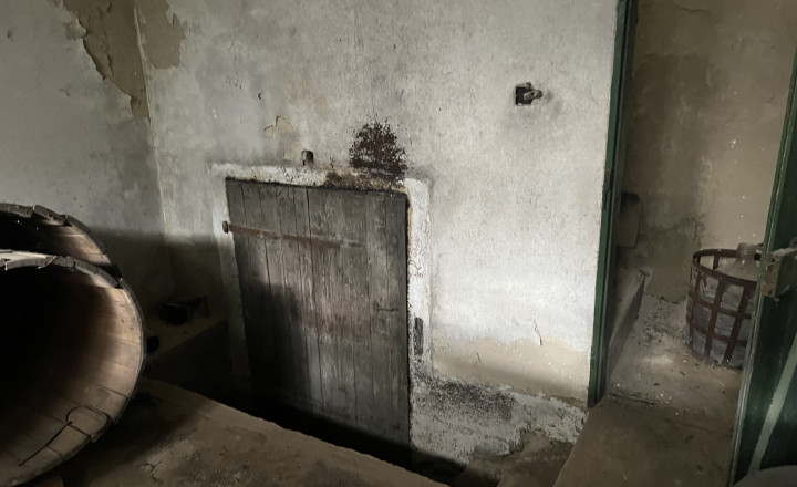 FINREAL exkluzívne ponúka NA PREDAJ vinohradnícky dom v Búči - fotografia 11