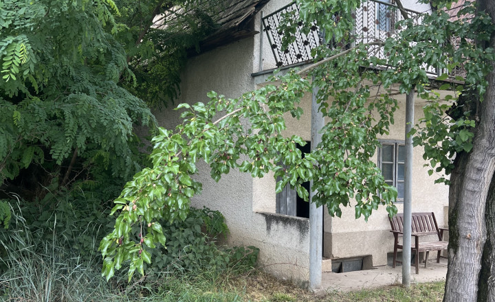 FINREAL exkluzívne ponúka NA PREDAJ vinohradnícky dom v Búči - fotografia 15