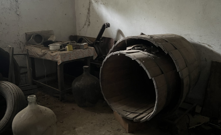 FINREAL exkluzívne ponúka NA PREDAJ vinohradnícky dom v Búči - fotografia 8
