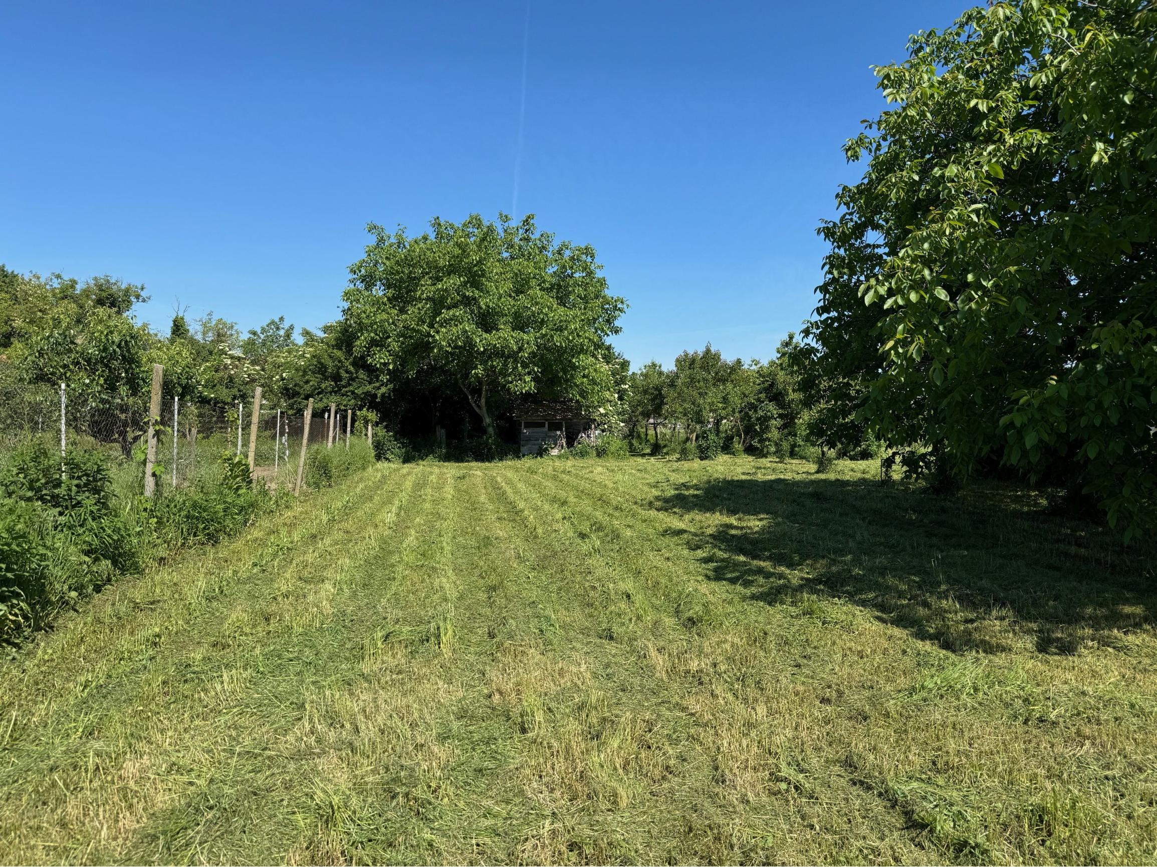 NA PREDAJ -  pozemok 2241 m2 v obci Komoča !